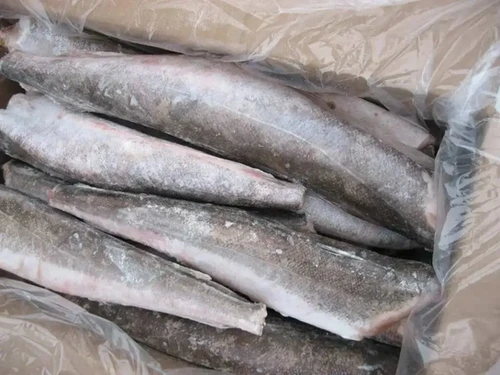 Frozen Hake Fish 1kg packaging