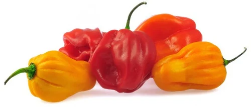 Fresh   Mixed Scotch  bonnet Chilli  (Hot Pepper)   200g