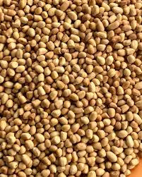 Enugu Groundnut(Peanut)