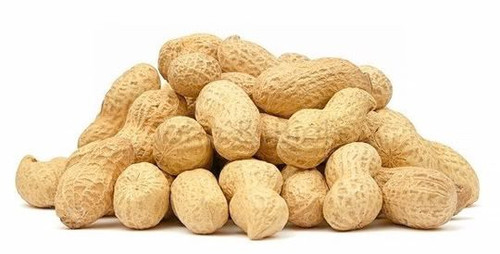 Peanut (Groundnut)