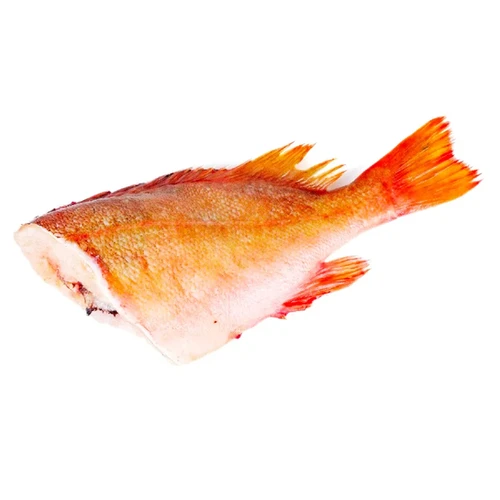 Frozen Red Headless Fish sold per kg