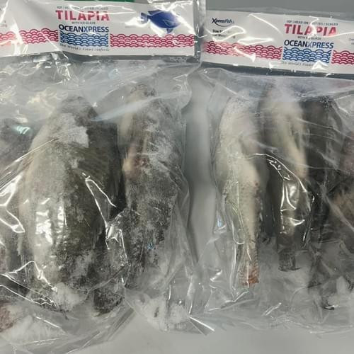 Frozen Tilapia 1kg packaging