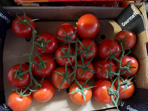 Vine Tomato Large Carton