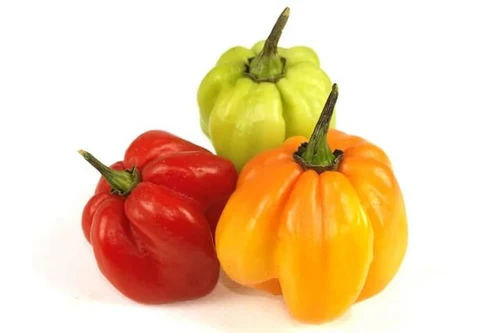 Fresh   Mixed Scotch  bonnet Chilli  (Hot Pepper)   200g