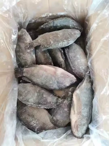 Frozen Tilapia 1kg packaging