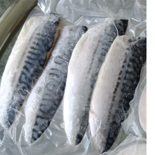 Frozen Mackerel Fish sold per kg