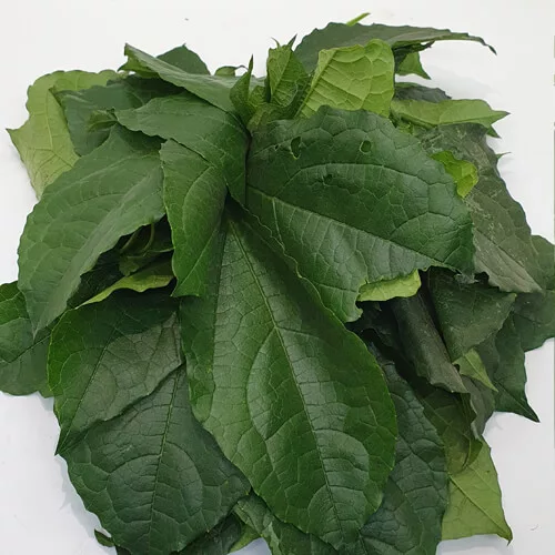 Fresh Ugwu Leaves