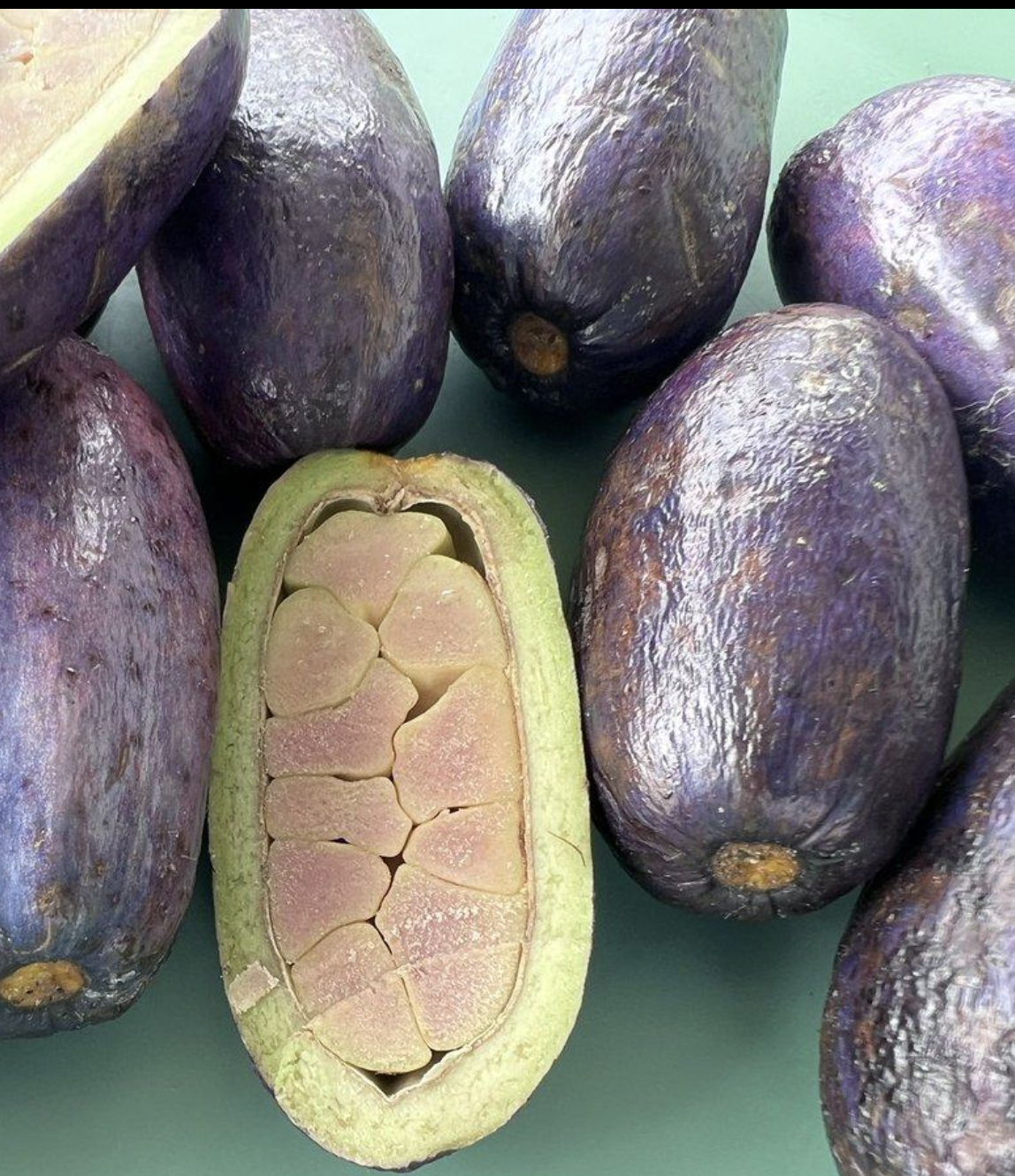 African pear (UBE) 6pieces